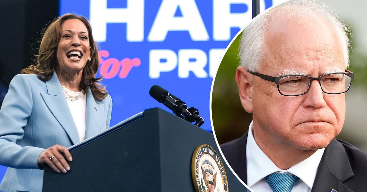 Kamala Harris choisit Tim Walz, gouverneur du Minnesota, comme colistier