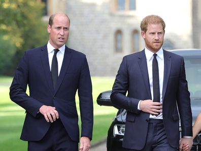 Prince Harry and Prince William