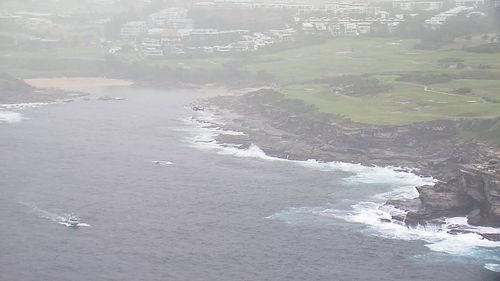 Two bodies have been found near Little Bay Beach in Sydney's south.