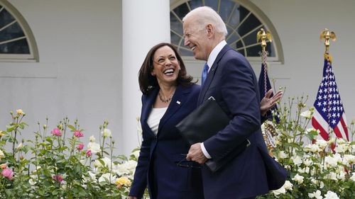 US Election: Kamala Harris secures enough Democratic delegates' support ...