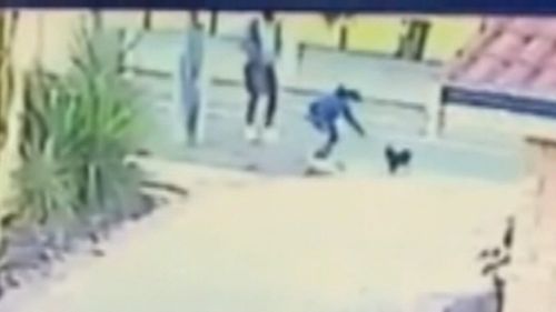 CCTV footage captured a man and woman coaxing Dahla down her driveway before she disappeared.