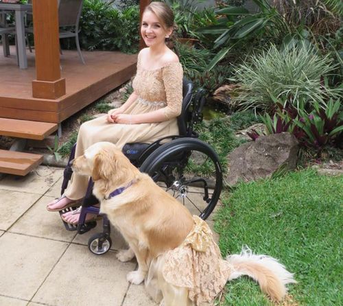 Queensland teen coordinates formal outfits with her assistance dog for formal