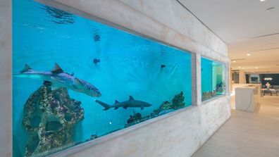 Shark tank aquarium Brisbane unusual luxury design Domain house for sale 