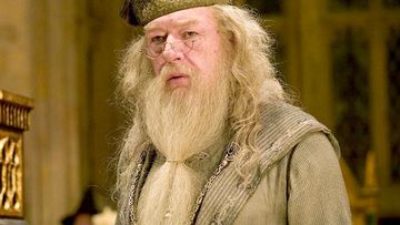 There&#x27;s no &quot;probably&quot; about ol&#x27; Albus&#x27;s sexuality: IN 2007, &lt;i&gt;Harry Potter&lt;/i&gt; author J.K. Rowling confirmed he played with another&#x27;s wizard wand in his youth.