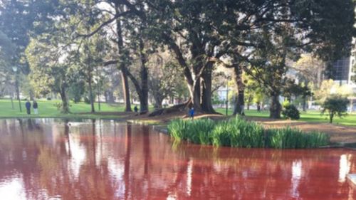 Melbourne lake turns bright red after suspected prank 