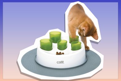 9PR: Catit Food Digger, White and Green