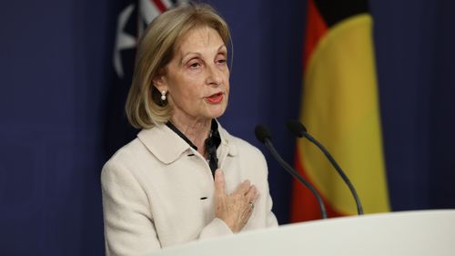 Jillian Segal, Sydney'deki Commonwealth Parlamento Ofisleri'nde basın toplantısı düzenliyor.