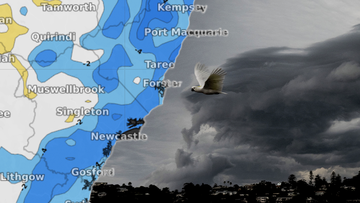 &#x27;Plenty&#x27; of storms on way for NSW as NT is slapped with &#x27;severe&#x27; weather warning 