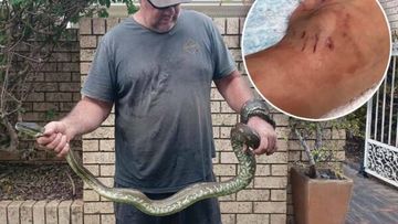 Five-year-old boy bitten and dragged into Byron Bay pool by python.