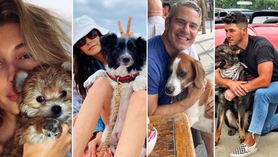 The celebrity pets earning thousands on Instagram