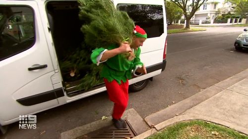 Real Christmas trees are being delivered to homes in the Victorian suburb of Bayside. 