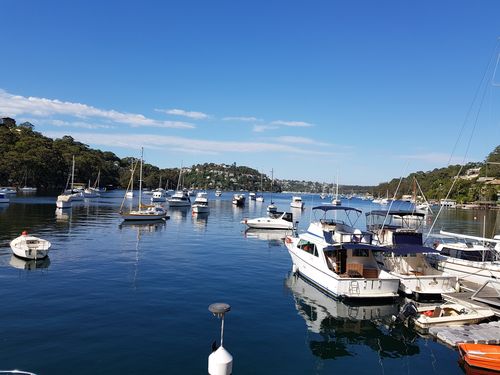 A stunning view from Castlecrag today. (Picture: Chris Walster)