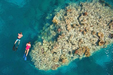 The island is a snorkelling and diving hotspot. Jen Dainer / Tourism and Events Queensland