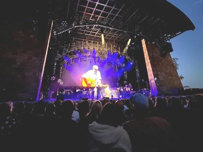 Prince Harry and Meghan and James Taylor concert