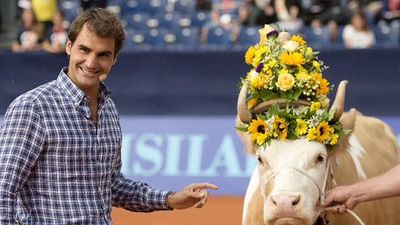 What happened to Roger Federer's cows?