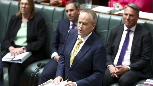 Minister for NDIS Bill Shorten delivers his valedictory speech in the House of Representatives at Parliament House in Canberra on November 21, 2024. fedpol Photo: Dominic Lorrimer