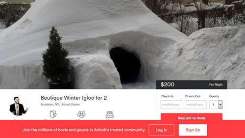 New York igloo listed on Airbnb for $287 per night
