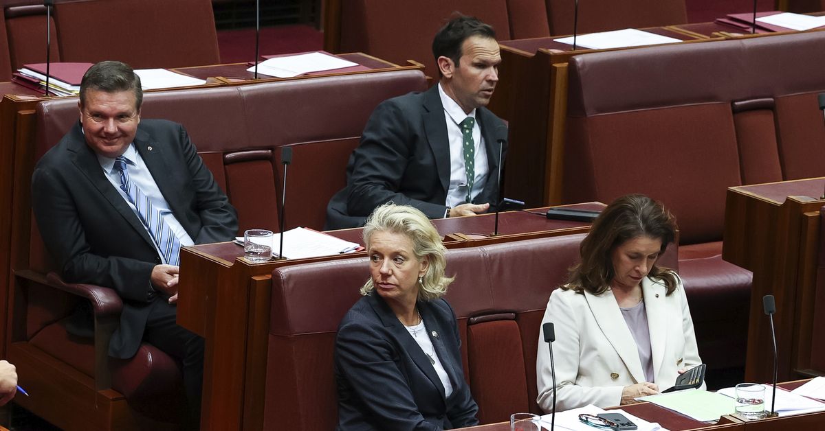 Three Nationals resign from shadow cabinet after splitting with Liberals on hate laws