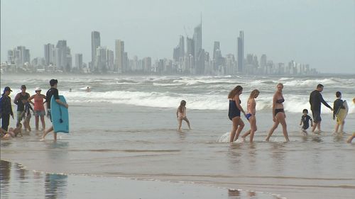 Beachgoers have been forced to dodge thousands of stinging bluebottles in Queensland this weekend.