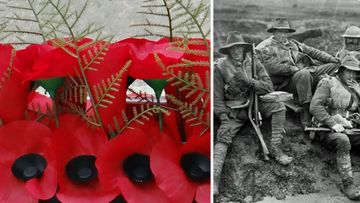 Hand-knitted poppies symbolise and pay tribute the lost soldiers