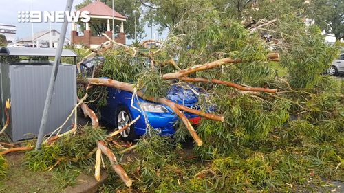 The SES received about 70 calls in relation to storm damage. (Supplied)