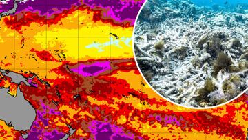 Coral bleaching map and the Great Barrier Reef.