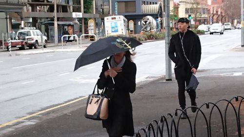 Residents in Adelaide are bracing for blustery conditions moving into the weekend. (Supplied)