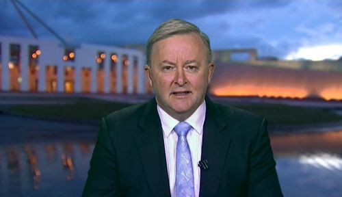 Labor MP Anthony Albanese said the minister's comments were 'pretty odd'. Picture: TODAY