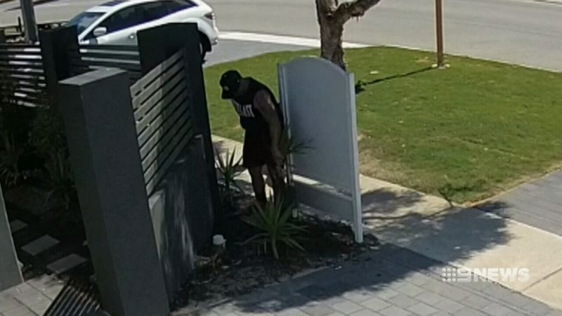 Thief rips up and steals plants from front garden | Nine.com.au