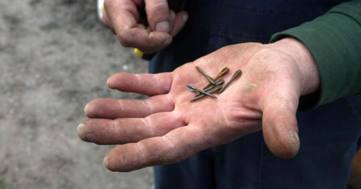 Lethal Russian flechette projectiles hit homes in Ukrainian town of Irpin