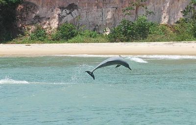 9. Baía dos Golfinhos, Praia da Pipa, Brazil