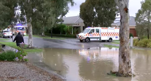 SES at the scene on Central Park Avenue. (9NEWS)