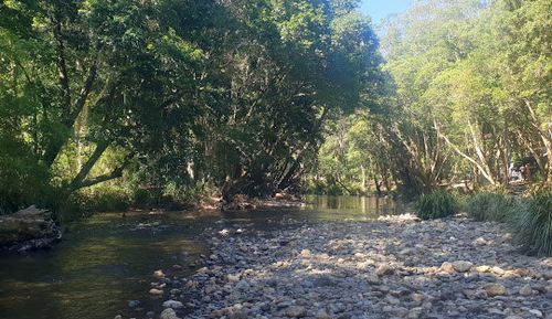 Google Maps - Never Never River in NSW