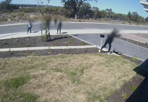A Perth family are being terrorised by a gang of youths targeting their home.