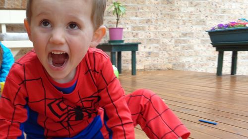 William Tyrrell's foster mother charged with giving false or misleading evidence
