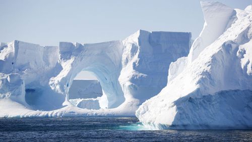 Icebergs wreaking havoc on North Atlantic shipping routes