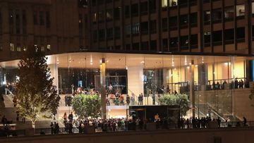 Chicago's new Apple store has been accused of killing local birds. Image: Getty