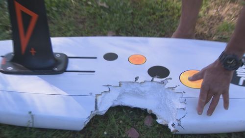 A man has shared how he managed to escape a suspected great white shark, which had knocked him into the water at a popular beach in Western Australia. ï»¿