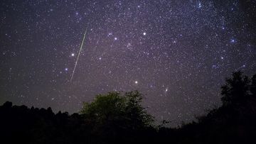 Bright meteor streaking across the night sky above Payson, Arizona during the Leonids meteor shower.