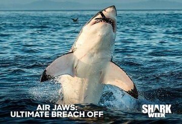 Air Jaws: Ultimate Breach Off
