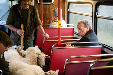 Timothy Spall stars in 'The Last Bus'.