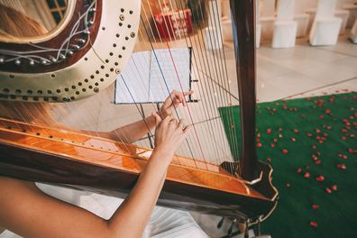 Harp player