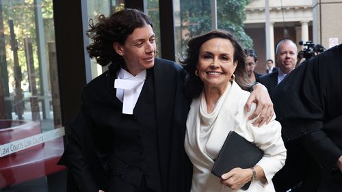 Lisa Wilkinson's successful defence of Bruce Lehrmann's defamation case came at a price, with the prominent journalist spending up to $8000 a day on her top silk.