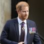 Harry to receive special honour for work with veterans