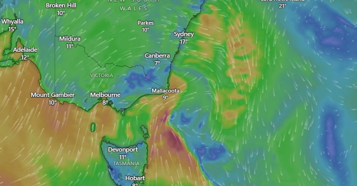 Millions in path of wintry blast this week