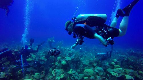 Scuba divers from Nekton spent hundreds of hours underwater off the coast of Bermuda.