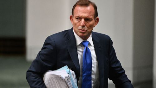 Tony Abbott is facing another slate of independent candidates at the federal election.