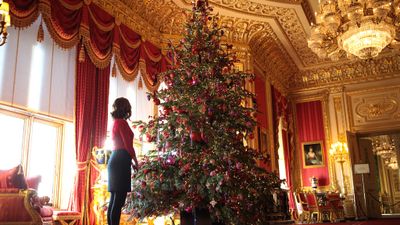 The Queen's Christmas trees, Windsor Castle