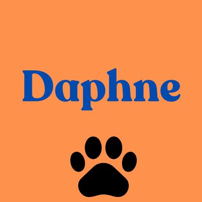 10. Daphne