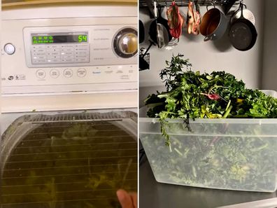 TikToker washes her leafy greens in the washing machine